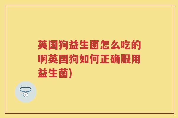 英国狗益生菌怎么吃的啊英国狗如何正确服用益生菌) 英国狗益生菌怎么吃的啊英国狗如何正确服用益生菌)