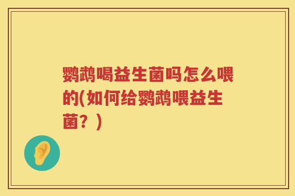 鹦鹉喝益生菌吗怎么喂的(如何给鹦鹉喂益生菌?) 鹦鹉喝益生菌吗怎么喂的(如何给鹦鹉喂益生菌?)