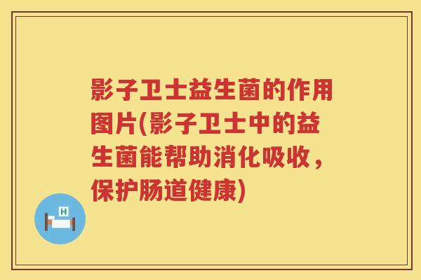 影子卫士益生菌的作用图片(影子卫士中的益生菌能帮助消化吸收，保护肠道健康)