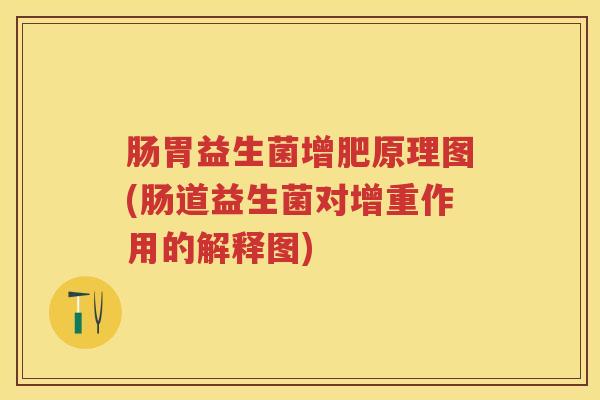 肠胃益生菌增肥原理图(肠道益生菌对增重作用的解释图) 肠胃益生菌增肥原理图(肠道益生菌对增重作用的解释图)