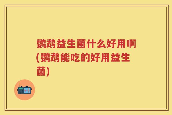 鹦鹉益生菌什么好用啊(鹦鹉能吃的好用益生菌) 鹦鹉益生菌什么好用啊(鹦鹉能吃的好用益生菌)
