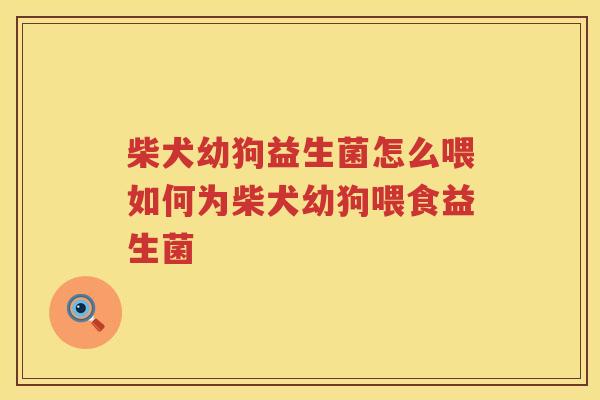 柴犬幼狗益生菌怎么喂如何为柴犬幼狗喂食益生菌 柴犬幼狗益生菌怎么喂如何为柴犬幼狗喂食益生菌