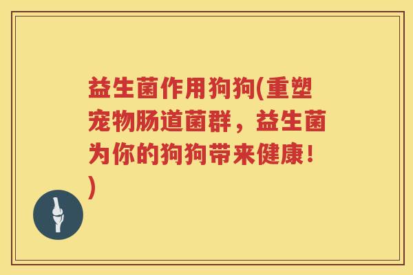 益生菌作用狗狗(重塑宠物肠道菌群,益生菌为你的狗狗带来健康!) 益生菌作用狗狗(重塑宠物肠道菌群,益生菌为你的狗狗带来健康!)