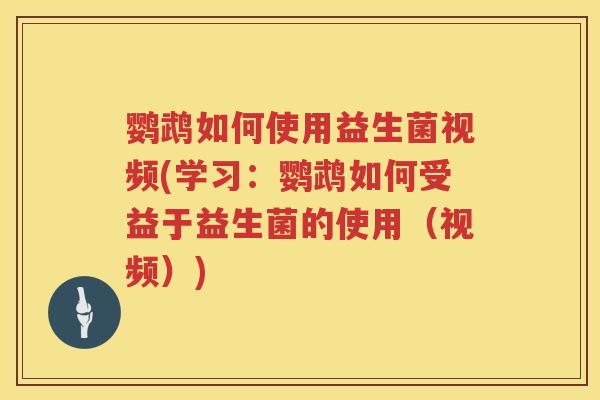 鹦鹉如何使用益生菌视频(学习:鹦鹉如何受益于益生菌的使用(视频)) 鹦鹉如何使用益生菌视频(学习:鹦鹉如何受益于益生菌的使用(视频))