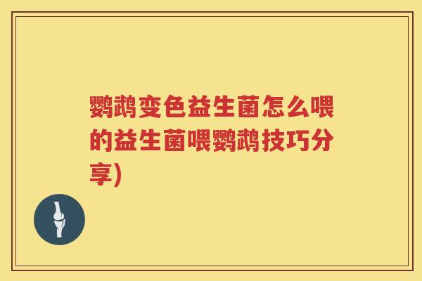 鹦鹉变色益生菌怎么喂的益生菌喂鹦鹉技巧分享) 鹦鹉变色益生菌怎么喂的益生菌喂鹦鹉技巧分享)