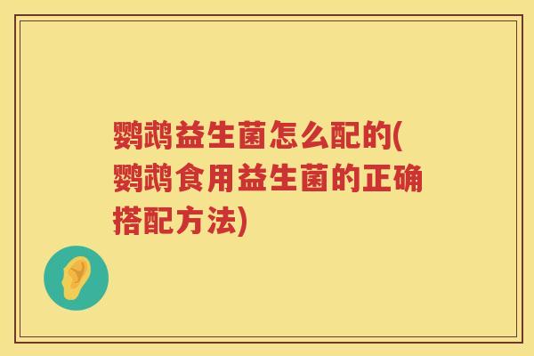 鹦鹉益生菌怎么配的(鹦鹉食用益生菌的正确搭配方法) 鹦鹉益生菌怎么配的(鹦鹉食用益生菌的正确搭配方法)