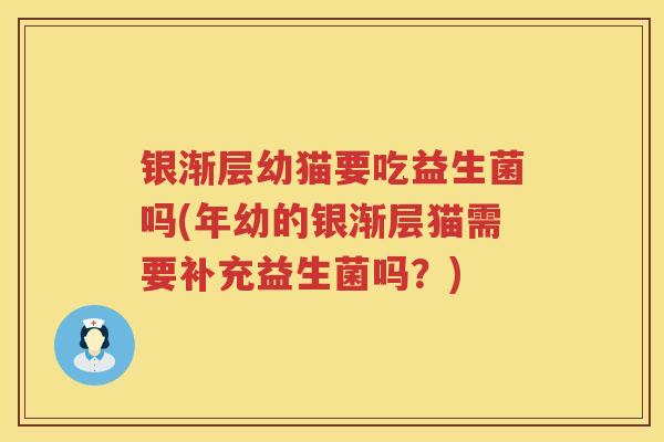 银渐层幼猫要吃益生菌吗(年幼的银渐层猫需要补充益生菌吗？)