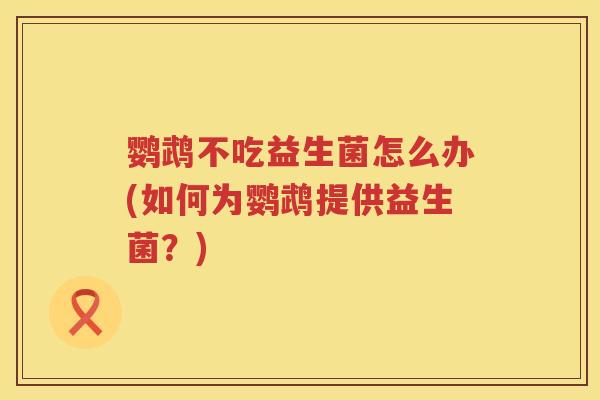 鹦鹉不吃益生菌怎么办(如何为鹦鹉提供益生菌?) 鹦鹉不吃益生菌怎么办(如何为鹦鹉提供益生菌?)