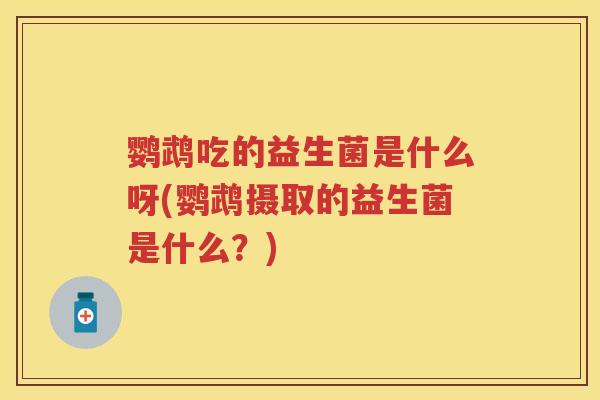 鹦鹉吃的益生菌是什么呀(鹦鹉摄取的益生菌是什么?) 鹦鹉吃的益生菌是什么呀(鹦鹉摄取的益生菌是什么?)