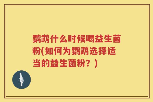 鹦鹉什么时候喝益生菌粉(如何为鹦鹉选择适当的益生菌粉？)