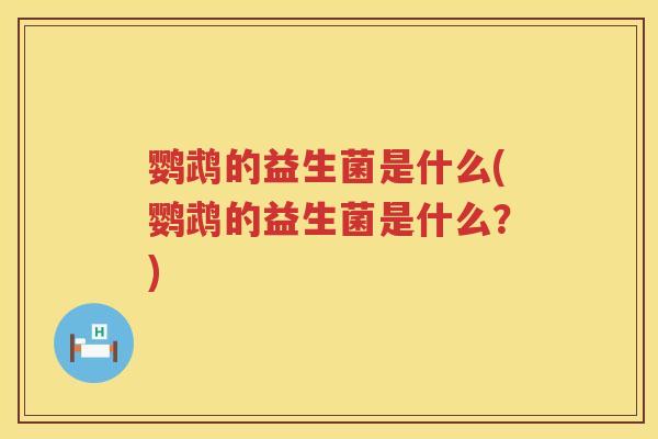 鹦鹉的益生菌是什么(鹦鹉的益生菌是什么?) 鹦鹉的益生菌是什么(鹦鹉的益生菌是什么?)