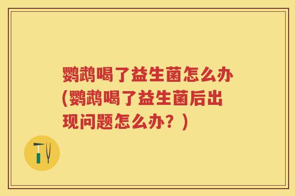 鹦鹉喝了益生菌怎么办(鹦鹉喝了益生菌后出现问题怎么办?) 鹦鹉喝了益生菌怎么办(鹦鹉喝了益生菌后出现问题怎么办?)