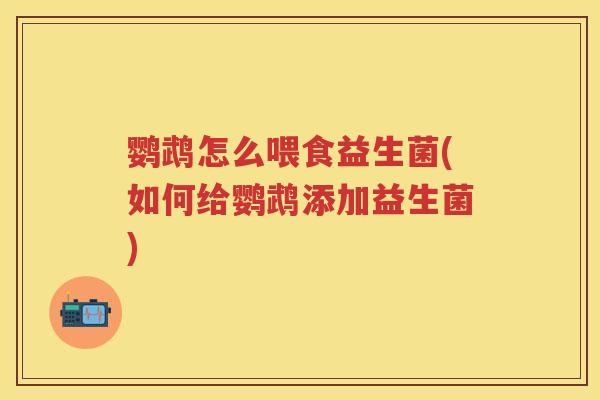 鹦鹉怎么喂食益生菌(如何给鹦鹉添加益生菌)