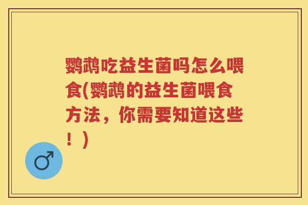 鹦鹉吃益生菌吗怎么喂食(鹦鹉的益生菌喂食方法，你需要知道这些！)