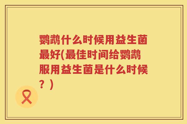 鹦鹉什么时候用益生菌好(佳时间给鹦鹉服用益生菌是什么时候?) 鹦鹉什么时候用益生菌好(佳时间给鹦鹉服用益生菌是什么时候?)