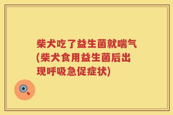 柴犬吃了益生菌就喘气(柴犬食用益生菌后出现急促症状) 柴犬吃了益生菌就喘气(柴犬食用益生菌后出现急促症状)