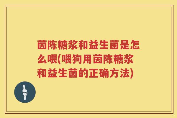 茵陈糖浆和益生菌是怎么喂(喂狗用茵陈糖浆和益生菌的正确方法)