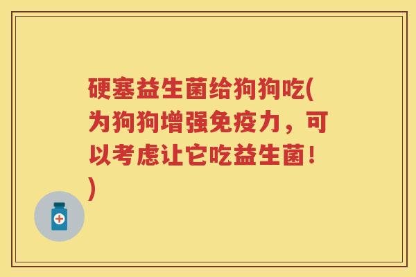 硬塞益生菌给狗狗吃(为狗狗增强力,可以考虑让它吃益生菌!) 硬塞益生菌给狗狗吃(为狗狗增强力,可以考虑让它吃益生菌!)