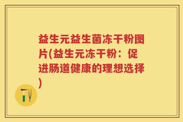 益生元益生菌冻干粉图片(益生元冻干粉:促进肠道健康的理想选择) 益生元益生菌冻干粉图片(益生元冻干粉:促进肠道健康的理想选择)