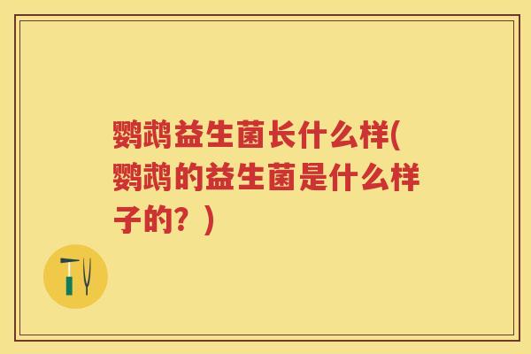 鹦鹉益生菌长什么样(鹦鹉的益生菌是什么样子的？)