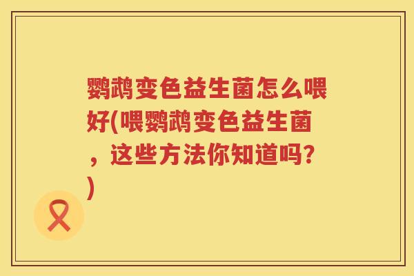 鹦鹉变色益生菌怎么喂好(喂鹦鹉变色益生菌,这些方法你知道吗?) 鹦鹉变色益生菌怎么喂好(喂鹦鹉变色益生菌,这些方法你知道吗?)