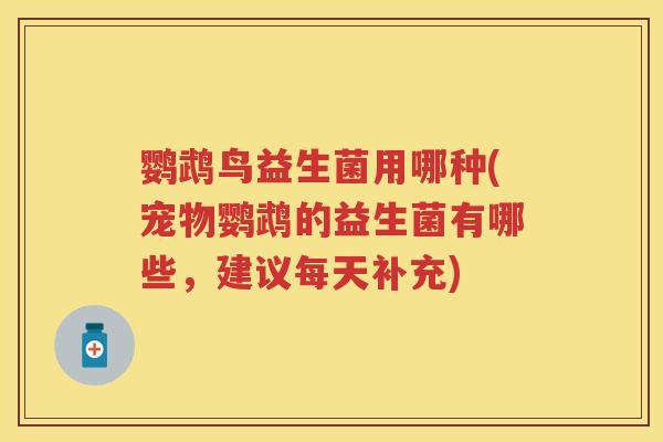 鹦鹉鸟益生菌用哪种(宠物鹦鹉的益生菌有哪些，建议每天补充)