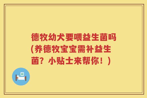 德牧幼犬要喂益生菌吗(养德牧宝宝需补益生菌?小贴士来帮你!) 德牧幼犬要喂益生菌吗(养德牧宝宝需补益生菌?小贴士来帮你!)