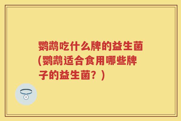 鹦鹉吃什么牌的益生菌(鹦鹉适合食用哪些牌子的益生菌?) 鹦鹉吃什么牌的益生菌(鹦鹉适合食用哪些牌子的益生菌?)