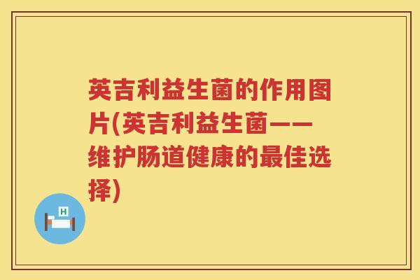 英吉利益生菌的作用图片(英吉利益生菌——维护肠道健康的佳选择) 英吉利益生菌的作用图片(英吉利益生菌——维护肠道健康的佳选择)