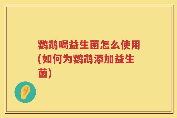 鹦鹉喝益生菌怎么使用(如何为鹦鹉添加益生菌)