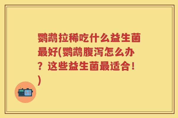 鹦鹉拉稀吃什么益生菌好(鹦鹉怎么办?这些益生菌适合!) 鹦鹉拉稀吃什么益生菌好(鹦鹉怎么办?这些益生菌适合!)