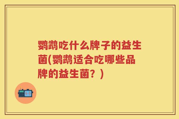 鹦鹉吃什么牌子的益生菌(鹦鹉适合吃哪些品牌的益生菌?) 鹦鹉吃什么牌子的益生菌(鹦鹉适合吃哪些品牌的益生菌?)
