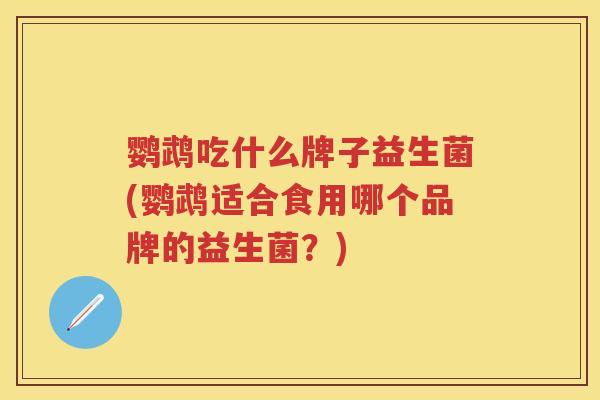 鹦鹉吃什么牌子益生菌(鹦鹉适合食用哪个品牌的益生菌?) 鹦鹉吃什么牌子益生菌(鹦鹉适合食用哪个品牌的益生菌?)