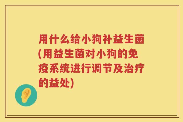 用什么给小狗补益生菌(用益生菌对小狗的系统进行调节及的益处)