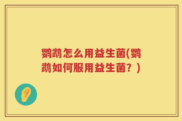 鹦鹉怎么用益生菌(鹦鹉如何服用益生菌?) 鹦鹉怎么用益生菌(鹦鹉如何服用益生菌?)