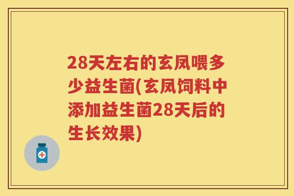 28天左右的玄凤喂多少益生菌(玄凤饲料中添加益生菌28天后的生长效果) 28天左右的玄凤喂多少益生菌(玄凤饲料中添加益生菌28天后的生长效果)