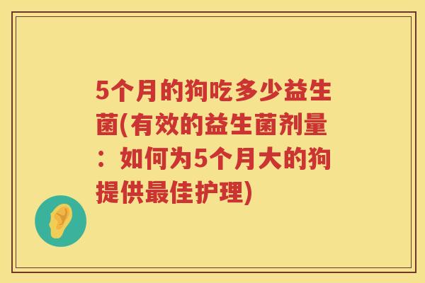 5个月的狗吃多少益生菌(有效的益生菌剂量:如何为5个月大的狗提供佳护理) 5个月的狗吃多少益生菌(有效的益生菌剂量:如何为5个月大的狗提供佳护理)