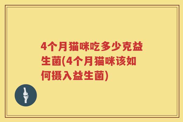 4个月猫咪吃多少克益生菌(4个月猫咪该如何摄入益生菌)