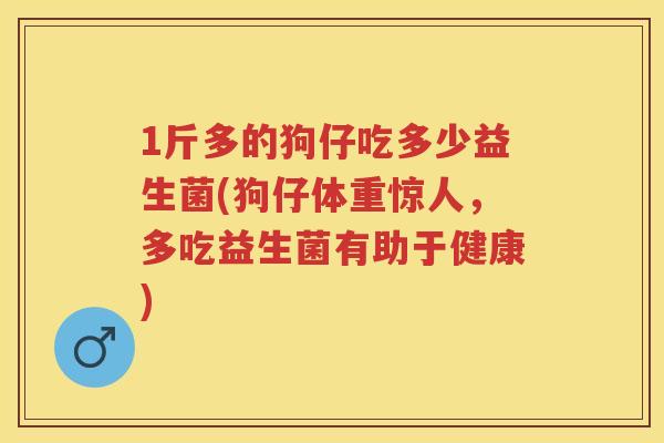 1斤多的狗仔吃多少益生菌(狗仔体重惊人,多吃益生菌有助于健康) 1斤多的狗仔吃多少益生菌(狗仔体重惊人,多吃益生菌有助于健康)