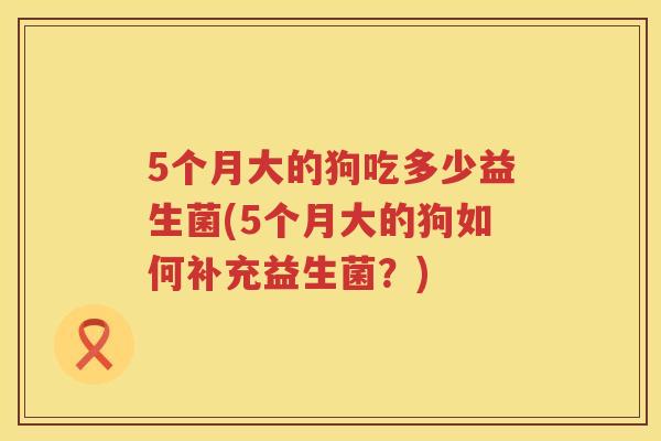 5个月大的狗吃多少益生菌(5个月大的狗如何补充益生菌?) 5个月大的狗吃多少益生菌(5个月大的狗如何补充益生菌?)