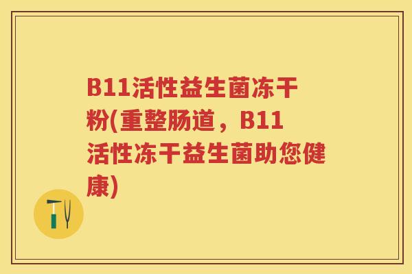 B11活性益生菌冻干粉(重整肠道，B11活性冻干益生菌助您健康)
