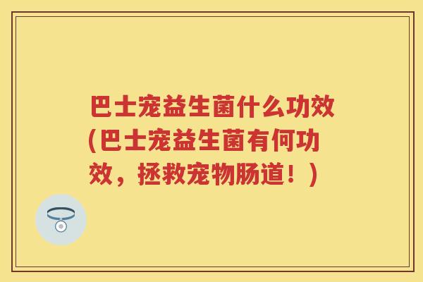 巴士宠益生菌什么功效(巴士宠益生菌有何功效，拯救宠物肠道！)