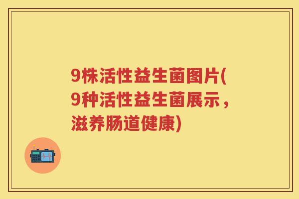 9株活性益生菌图片(9种活性益生菌展示,滋养肠道健康) 9株活性益生菌图片(9种活性益生菌展示,滋养肠道健康)