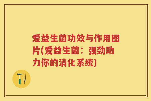 爱益生菌功效与作用图片(爱益生菌：强劲助力你的消化系统)