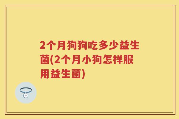 2个月狗狗吃多少益生菌(2个月小狗怎样服用益生菌)