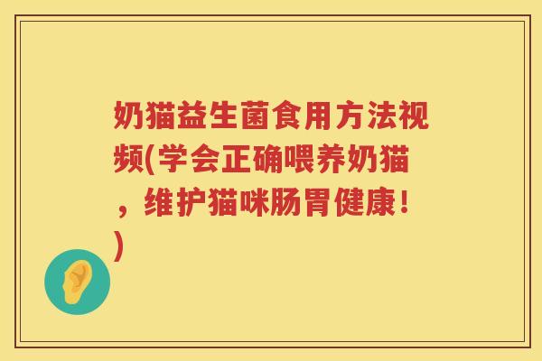 奶猫益生菌食用方法视频(学会正确喂养奶猫，维护猫咪肠胃健康！)