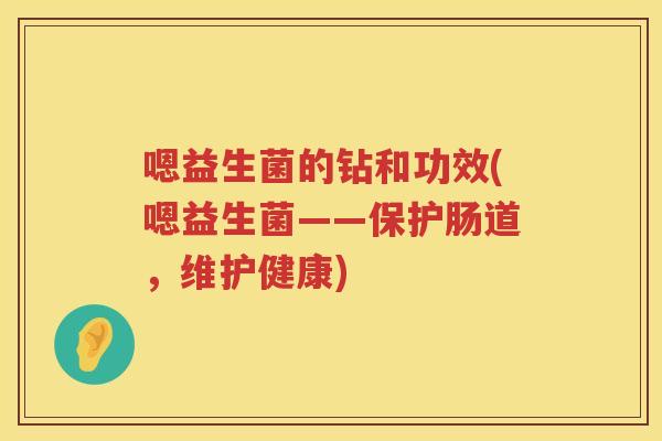 嗯益生菌的钻和功效(嗯益生菌——保护肠道，维护健康)