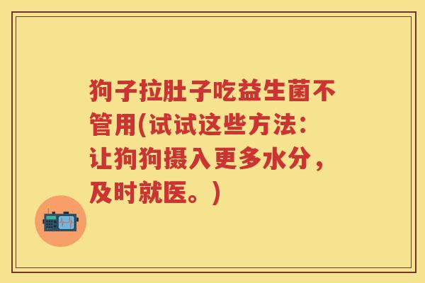 狗子拉肚子吃益生菌不管用(试试这些方法:让狗狗摄入更多水分,及时就医。) 狗子拉肚子吃益生菌不管用(试试这些方法:让狗狗摄入更多水分,及时就医。)