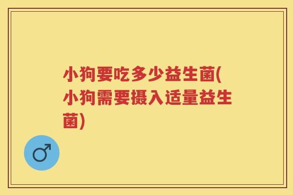 小狗要吃多少益生菌(小狗需要摄入适量益生菌) 小狗要吃多少益生菌(小狗需要摄入适量益生菌)