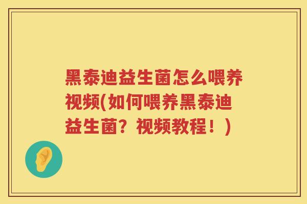 黑泰迪益生菌怎么喂养视频(如何喂养黑泰迪益生菌？视频教程！)